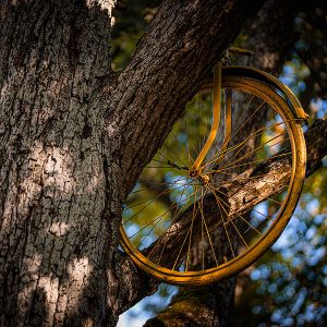 Recenzie Chalupa Zátišie