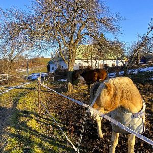 Recenzie Chalupa Zátišie