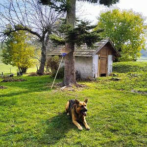 Recenzie Chalupa Zátišie