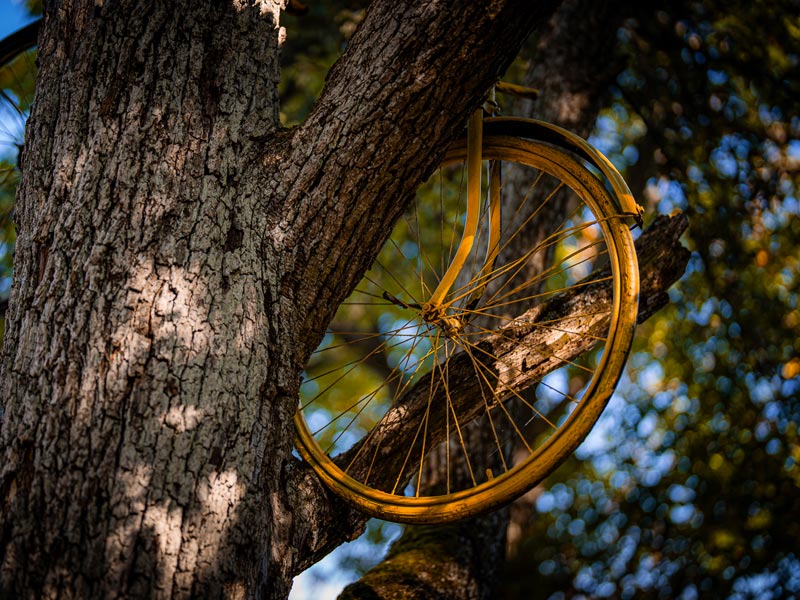 Recenzie Chalupa Zátišie