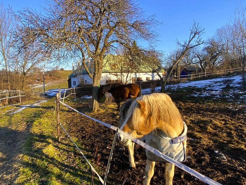Recenzie Chalupa Zátišie